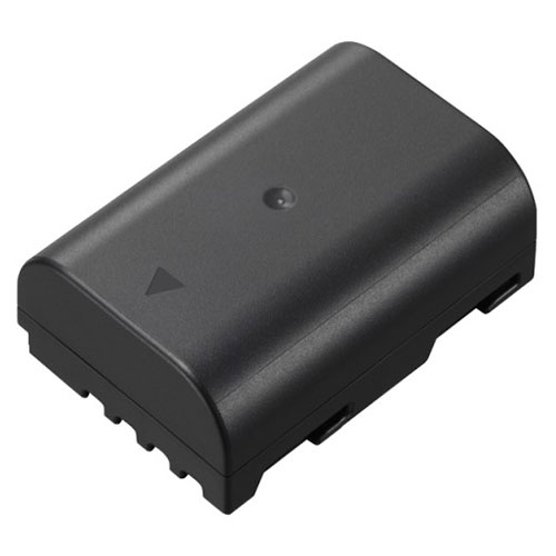 【DMW-BLF19】 Panasonic バッテリーパック