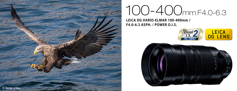 Panasonic LEICA DG VARIO-ELMAR 100-400mm/F4.0-6.3 ASPH./POWER O.I.S.