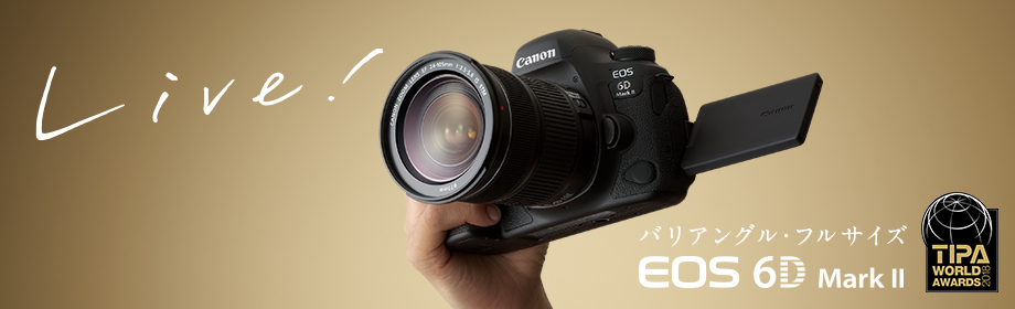 Canon EOS 6D Mark II・24-70 F4L IS USM レンズキット